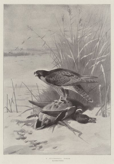 A Successful Foray by Archibald Thorburn